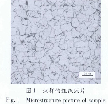 圖l  試樣的組織照片